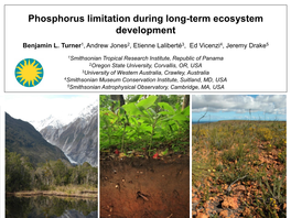 Phosphorus Limitation During Long-Term Ecosystem Development