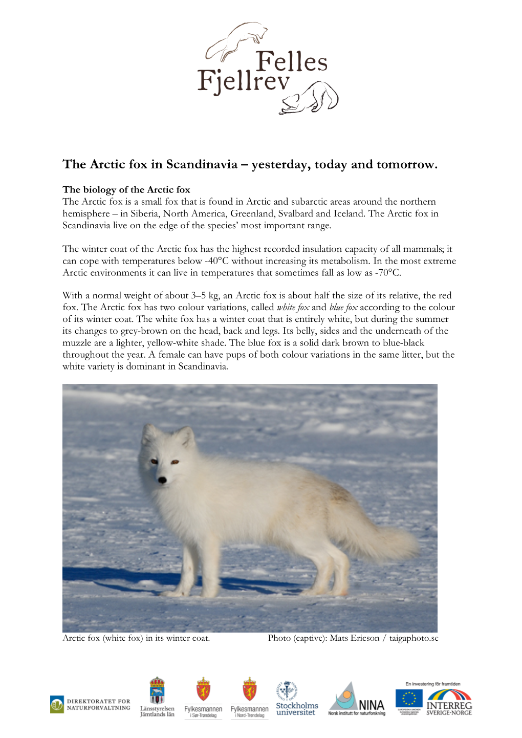 The Arctic Fox in Scandinavia – Yesterday, Today and Tomorrow