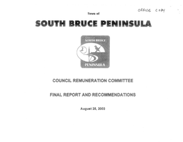 Council Remuneration Committee Final Report