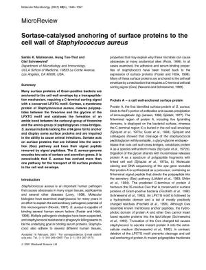 Sortase-Catalysed Anchoring of Surface Proteins to the Cell Wall of Staphylococcus Aureus