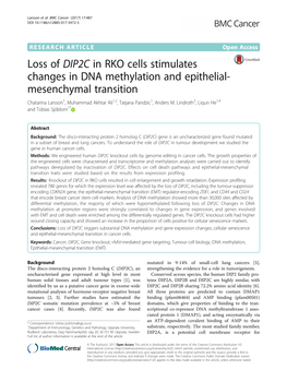 Loss of DIP2C in RKO Cells Stimulates Changes in DNA