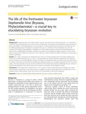 The Life of the Freshwater Bryozoan Stephanella Hina (Bryozoa, Phylactolaemata)