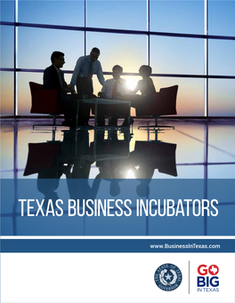 Texas Business Incubators