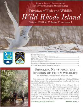 Wild Rhode Island Winter 2020  Volume 13  Issue 1