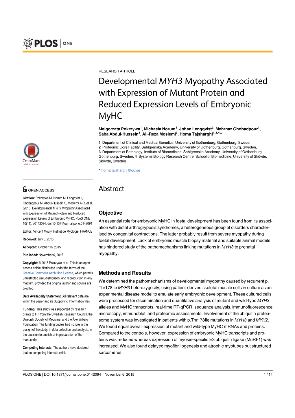 Developmental MYH3 Myopathy Associated with Expression of Mutant Protein and Reduced Expression Levels of Embryonic Myhc