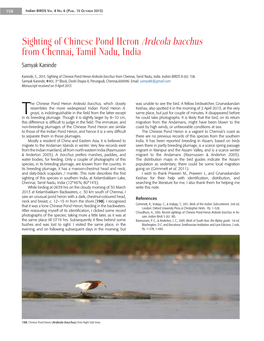 Sighting of Chinese Pond Heron Ardeola Bacchus from Chennai, Tamil Nadu, India Samyak Kaninde