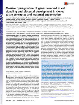 Massive Dysregulation of Genes Involved in Cell Signaling and Placental Development in Cloned Cattle Conceptus and Maternal Endometrium
