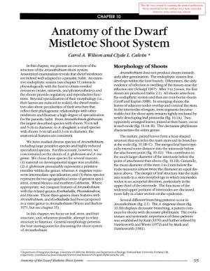 Dwarf Mistletoes: Biology, Pathology, and Systematics
