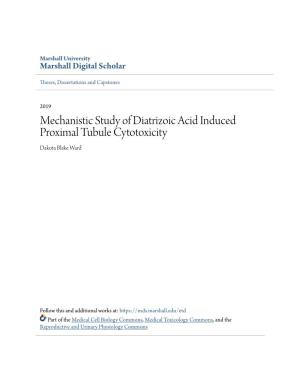 Mechanistic Study of Diatrizoic Acid Induced Proximal Tubule Cytotoxicity Dakota Blake Ward