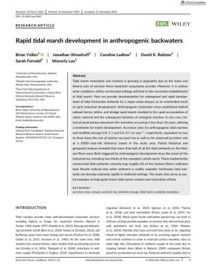 Rapid Tidal Marsh Development in Anthropogenic Backwaters
