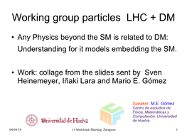 Working Group Particles LHC + DM