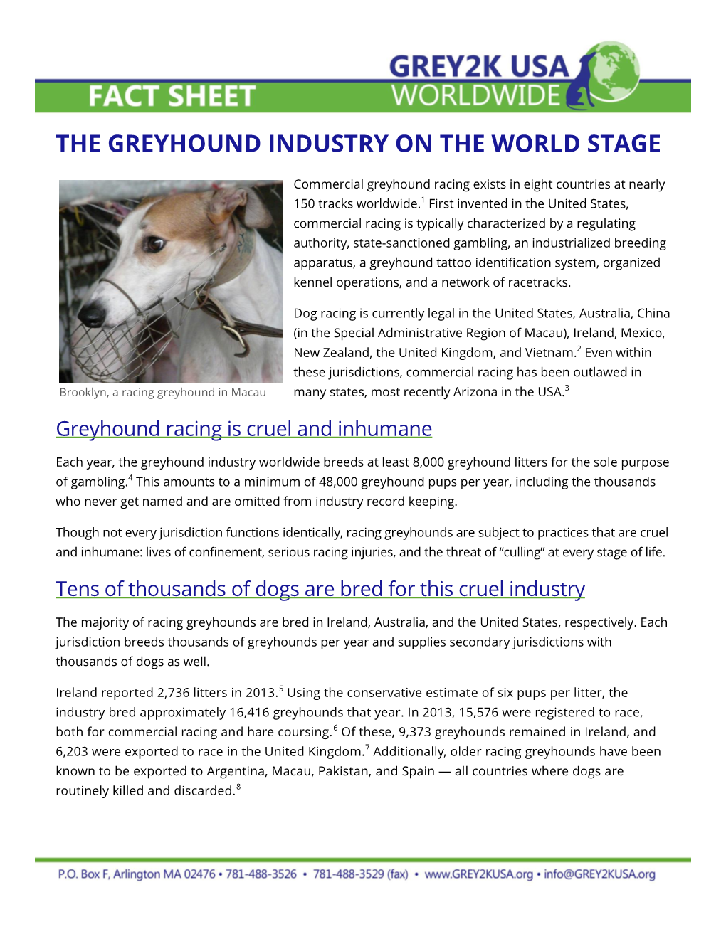 The Greyhound Industry on the World Stage