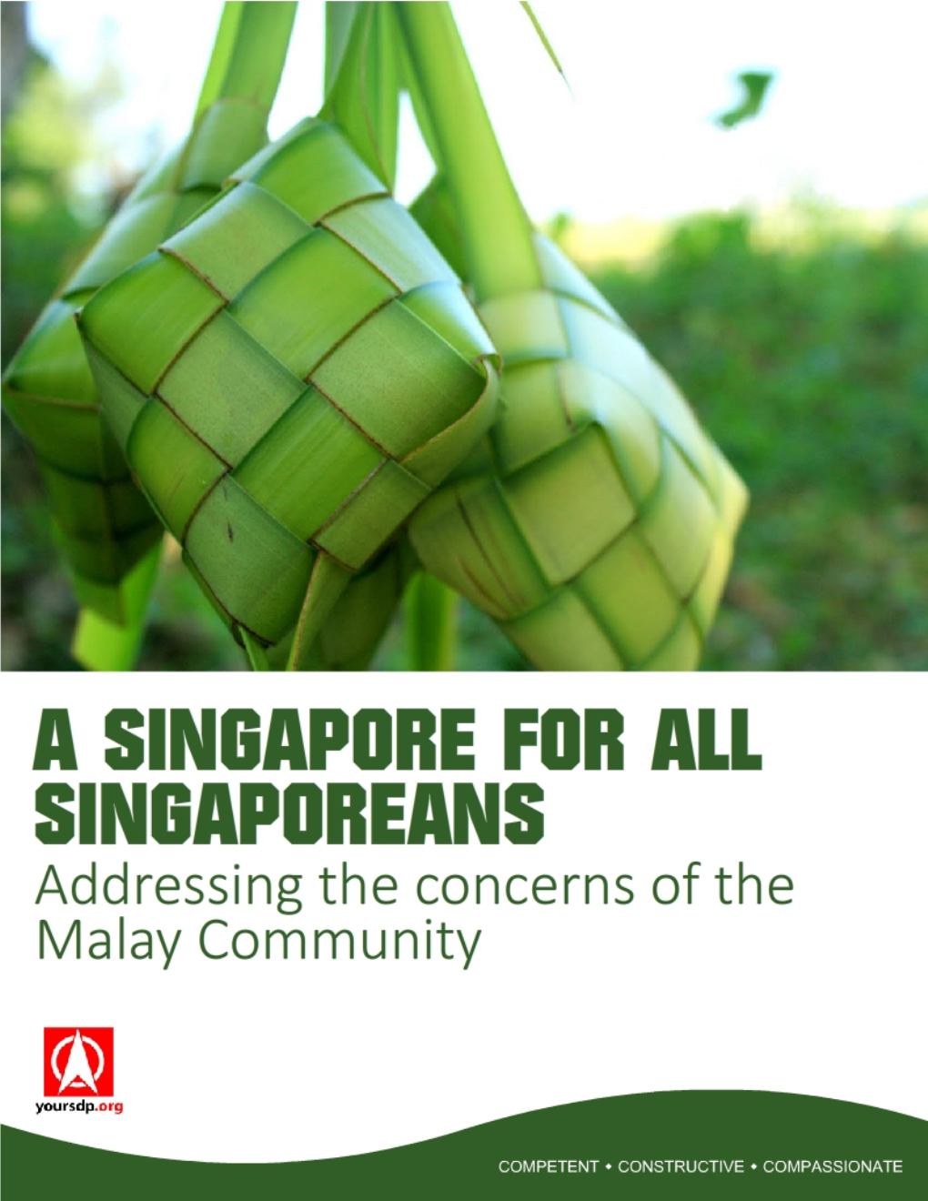 A Singapore for All Singaporeans