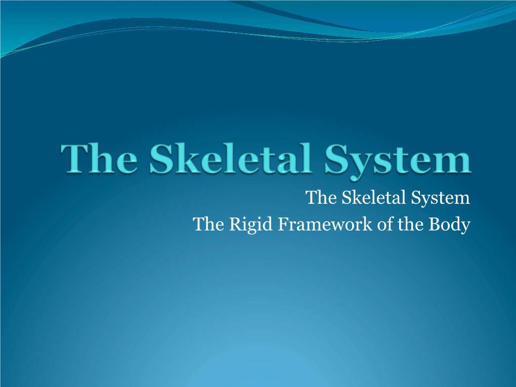 The Skeletal System the Rigid Framework of the Body