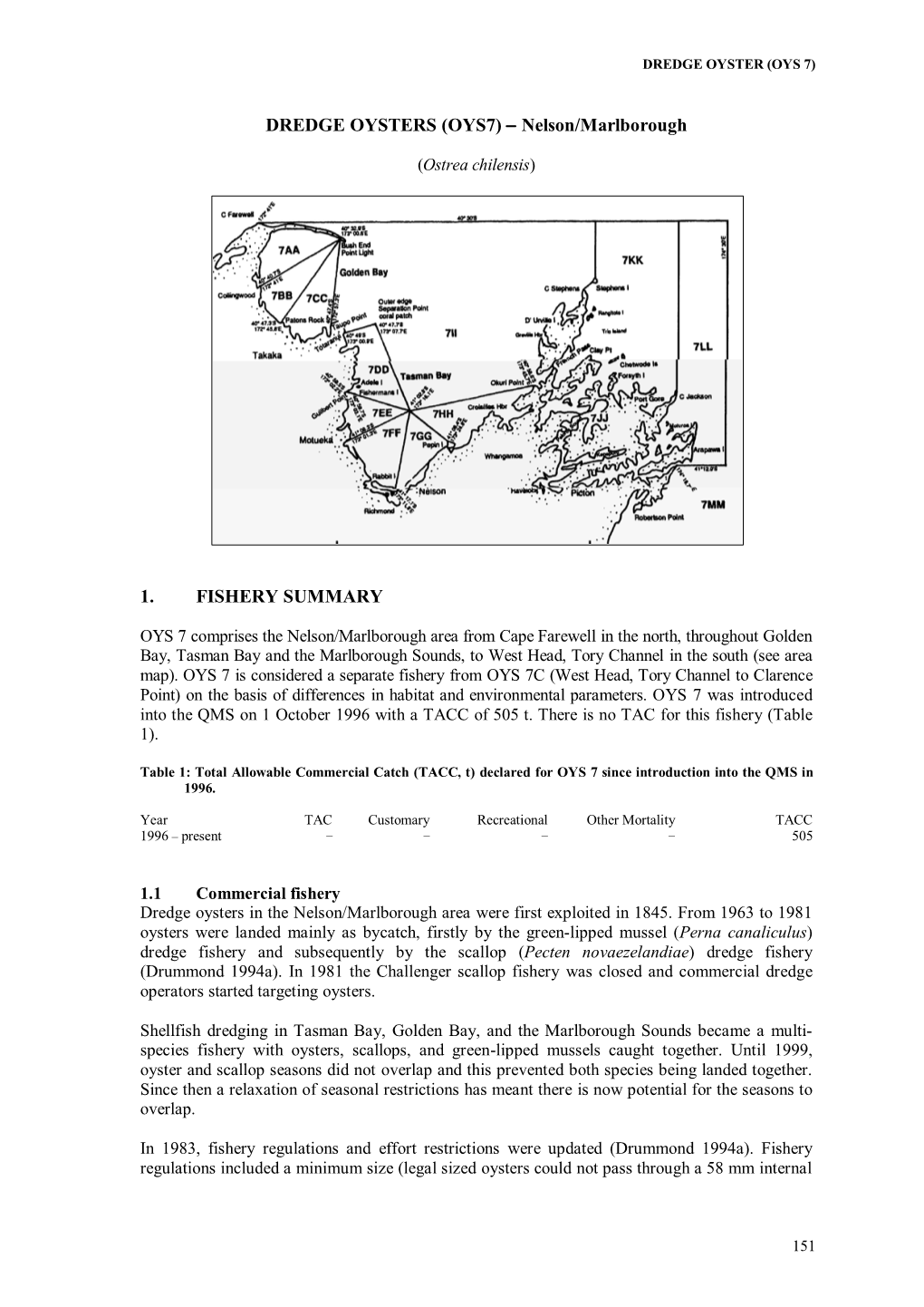 DREDGE OYSTERS Nelson/Marlborough (OYS7)