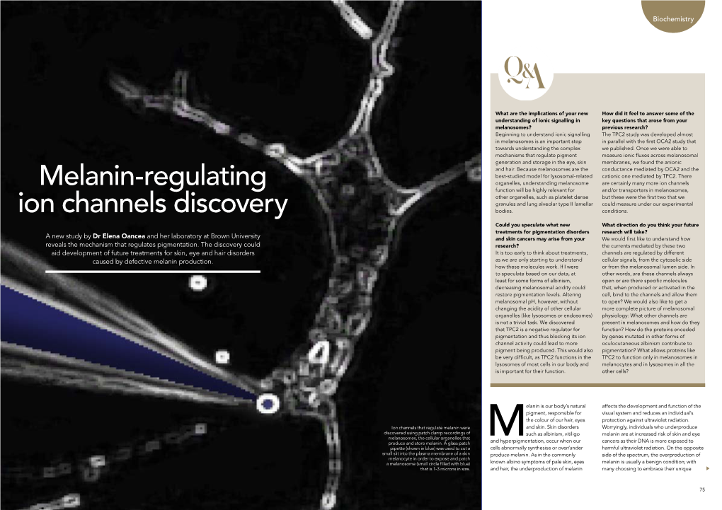 Melanin-Regulating Ion Channels Discovery