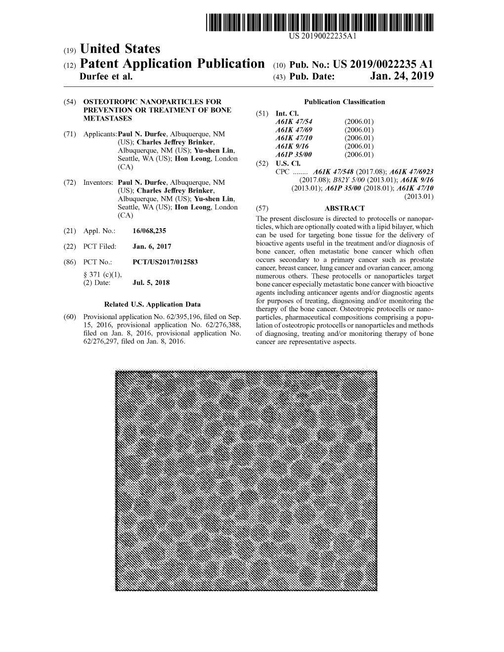 Patent Application Publication ( 10 ) Pub . No . : US 2019 / 0022235 A1