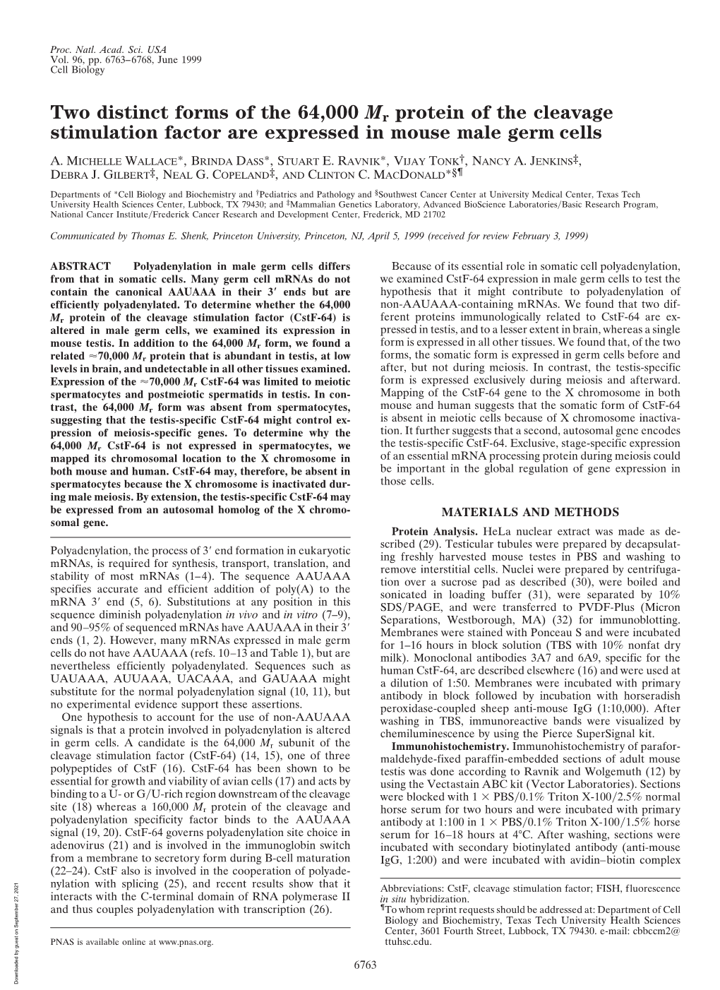 Two Distinct Forms of the 64,000 Mr Protein of the Cleavage Stimulation Factor Are Expressed in Mouse Male Germ Cells