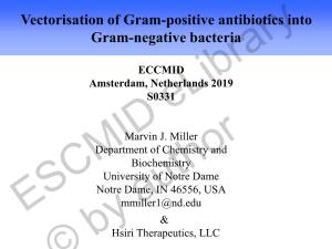 Vectorisation of Gram-Positive Antibiotics Into Gram-Negative Bacteria