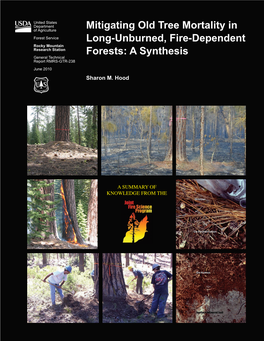 Mitigating Old Tree Mortality in Long-Unburned, Fire-Dependent Forests: a Synthesis