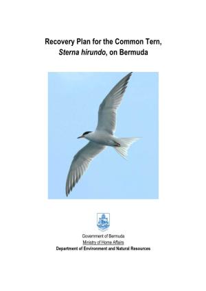 Common Tern Recovery Plan