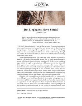 Do Elephants Have Souls? Caitrin Nicol