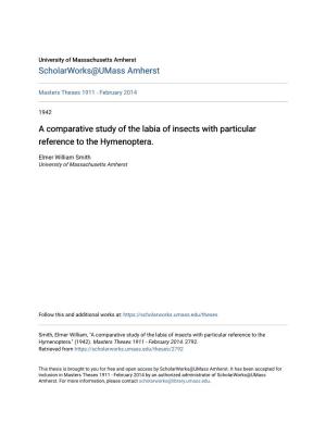 A Comparative Study of the Labia of Insects with Particular Reference to the Hymenoptera