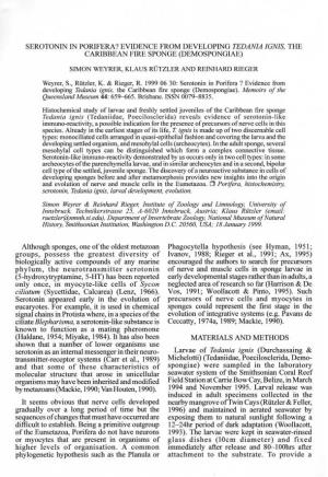 Serotonin in Porifera? Evidence from Developing Tedania Ignis, the Caribbean Fire Sponge (Demospongiae)