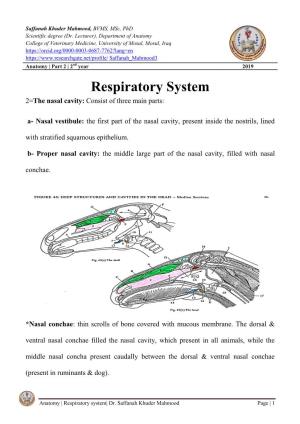 Respiratory System 2=The Nasal Cavity: Consist of Three Main Parts
