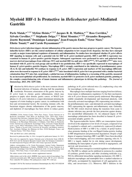 Mediated Gastritis − Pylori Helicobacter Myeloid HIF-1 Is Protective In