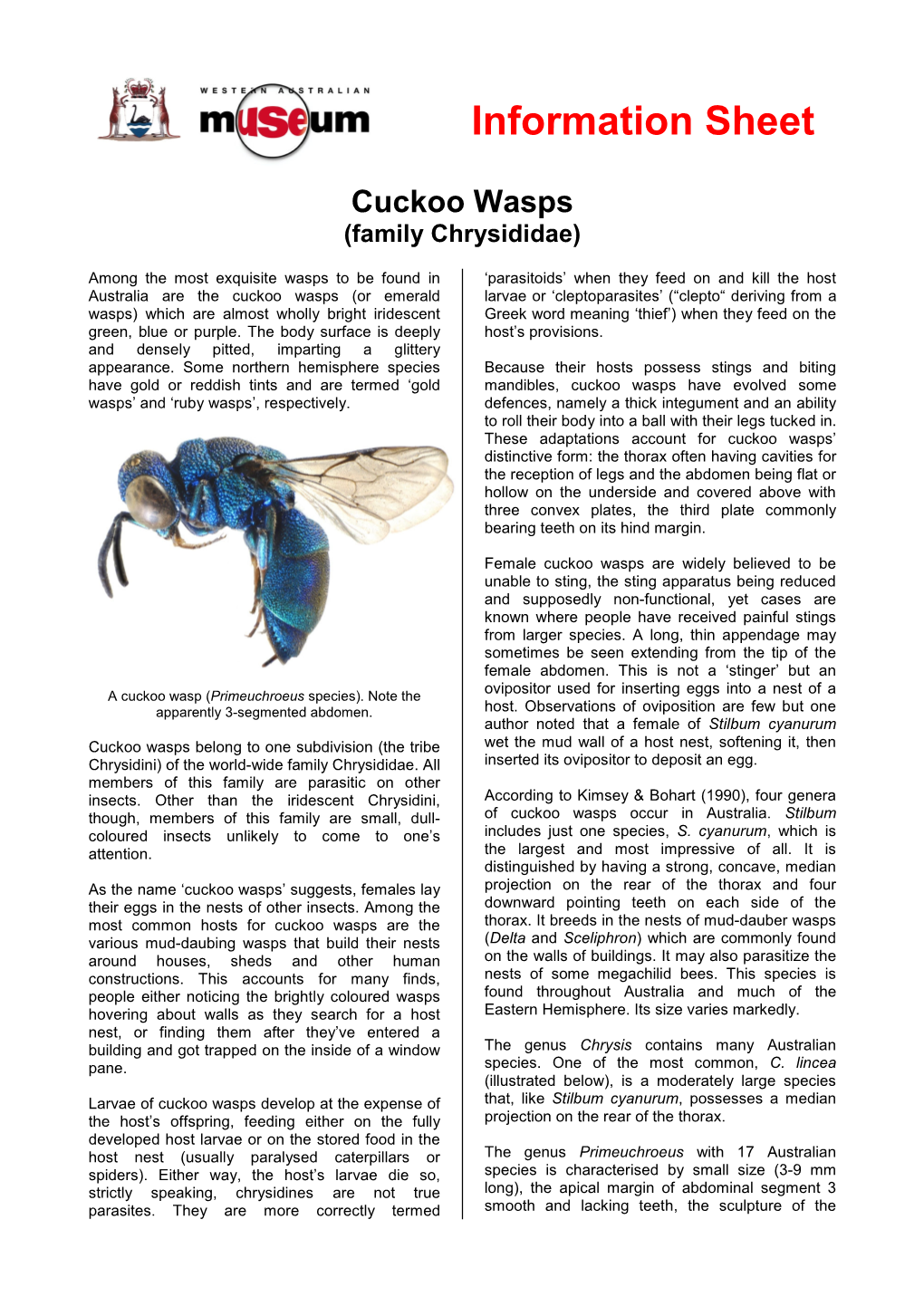 Information Sheet Cuckoo Wasps