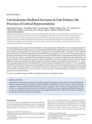 Catecholamine-Mediated Increases in Gain Enhance the Precision of Cortical Representations