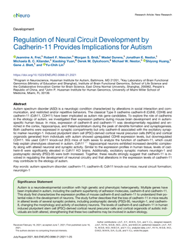 Regulation of Neural Circuit Development by Cadherin-11 Provides Implications for Autism