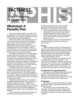 Witchweed: a Percent (From 450,000 Acres to About 5,500)