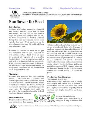 Sunflower for Seed Introduction Sunflower Helianthus ( Annuus) Is a Beautiful and Versatile Flowering Annual That Has Been Aptly Named