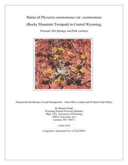 Status of Physaria Saximontana Var. Saximontana (Rocky Mountain Twinpod) in Central Wyoming
