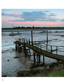 Blackwater Estuary in Essex at Low Tide, Where Yachts Tilt on the Tidal Mud and Migrating Birds Overwinter
