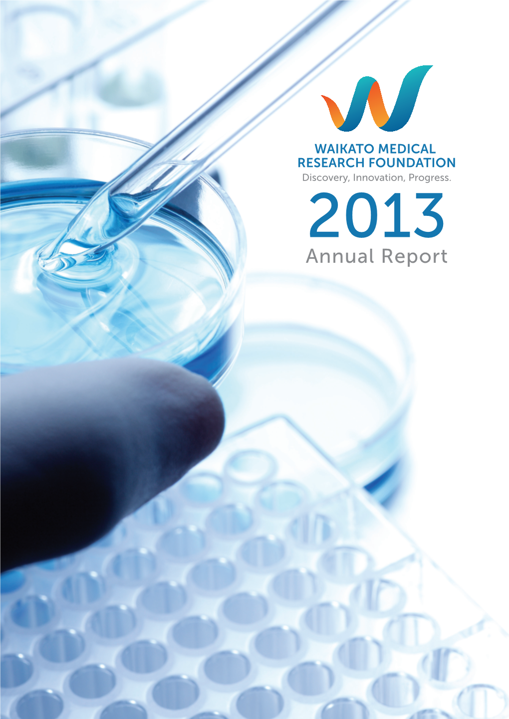 Annual Report 2013 Download