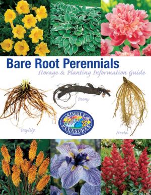 Bare Root Perennials – Storage & Planting Info Guide