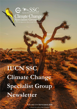 CCSG Newsletter – Vol 4 September 2020