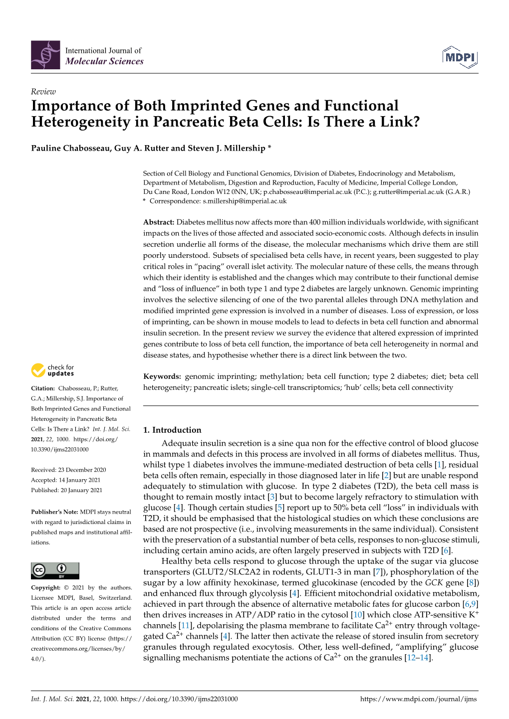 Importance of Both Imprinted Genes and Functional Heterogeneity in Pancreatic Beta Cells: Is There a Link?