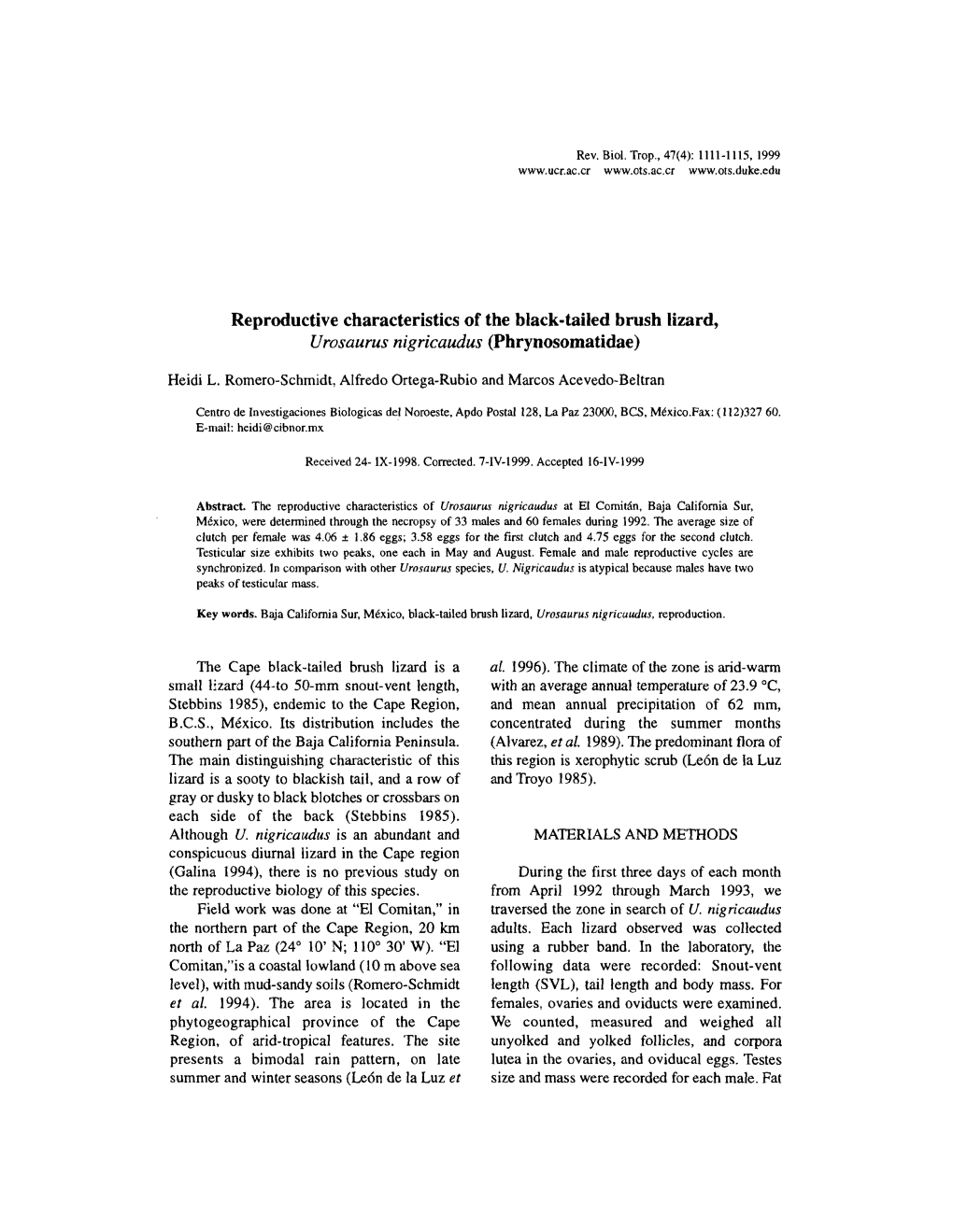 Reproductive Characteristics of the Black-Tailed Bmsh Lizard, Urosaurus Nigricaudus (Phrynosomatidae)