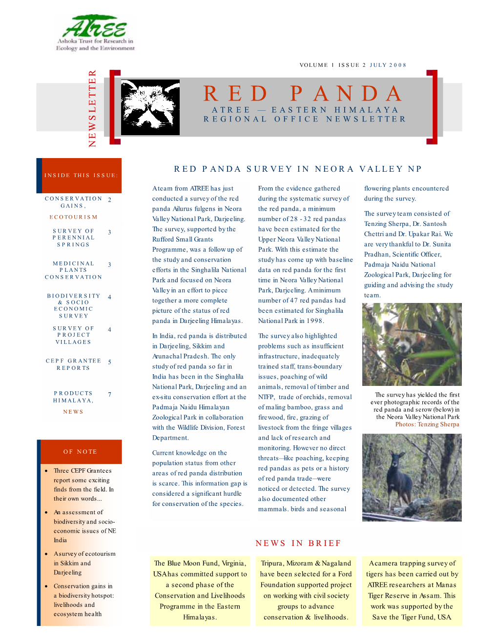 Red Panda Atree — Eastern Himalaya Marchregional 2008 Office Newsletter