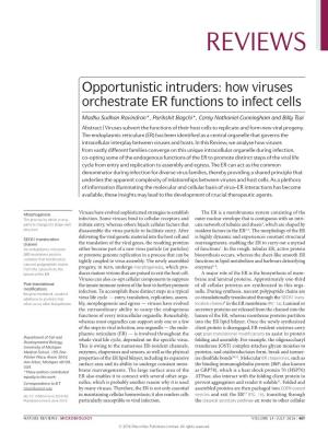 Opportunistic Intruders: How Viruses Orchestrate ER Functions to Infect Cells