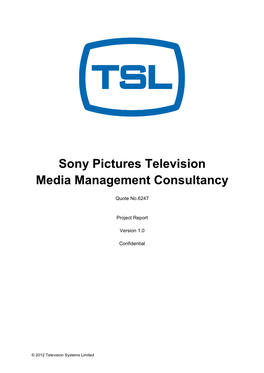 Sony Pictures Television Media Management Consultancy