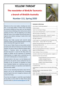 YELLOW THROAT the Newsletter of Birdlife Tasmania: a Branch of Birdlife Australia Number 111, Spring 2020