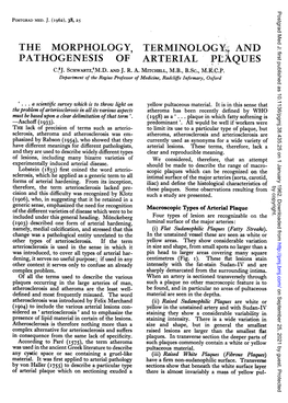 THE MORPHOLOGY, TERMINOLOGX, and PATHOGENESIS of ARTERIAL PLAQUES C.Uj
