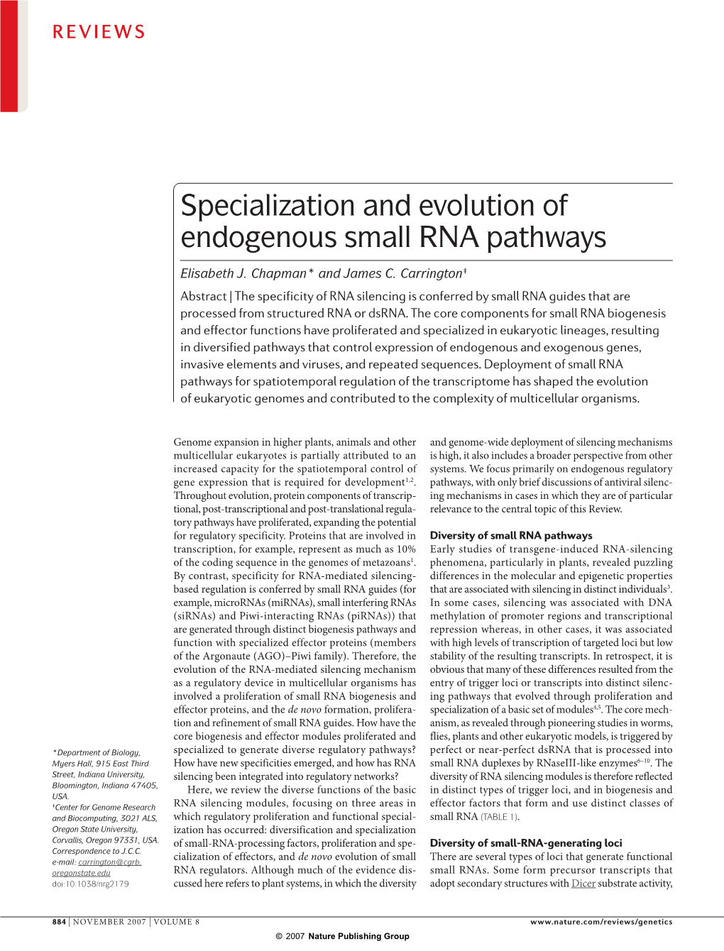Specialization and Evolution of Endogenous Small RNA Pathways