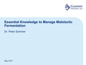 Essential Knowledge to Manage Malolactic Fermentation