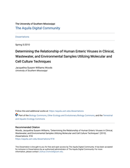 Determining the Relationship of Human Enteric Viruses in Clinical, Wastewater, and Environmental Samples Utilizing Molecular and Cell Culture Techniques